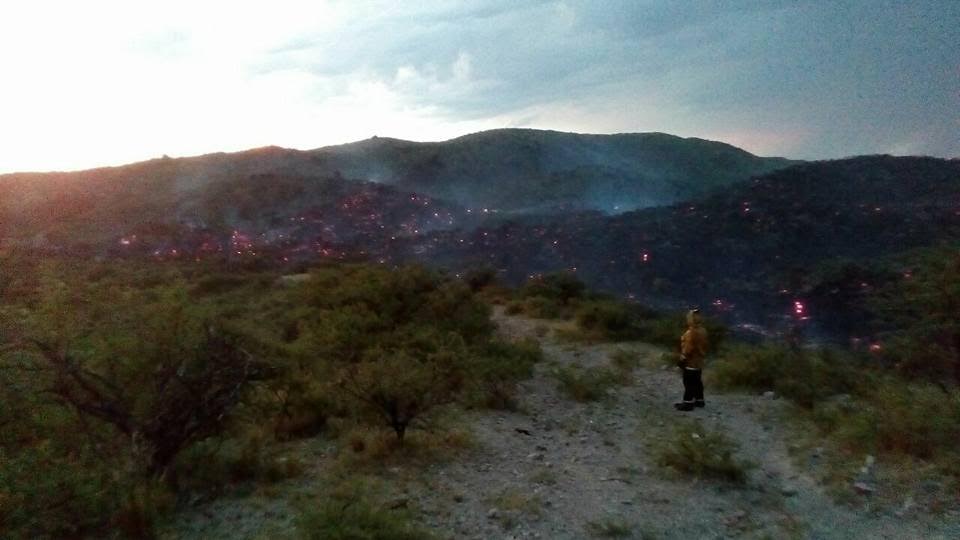 San Luis Solidario trabajó en los incendios forestales de Donovan y la zona del Pueblo Ranquel