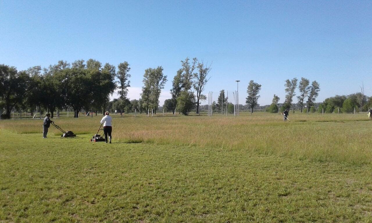 Comenzaron los trabajos de desmalezado y limpieza del Parque Costanera Río V