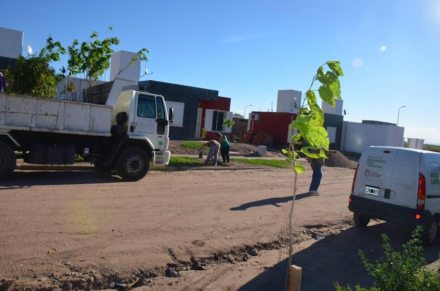 Por el mal clima, postergaron la forestación en La Punta