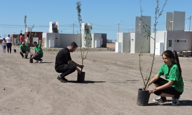 Este lunes se plantarán más de 350 árboles en la ciudad de La Punta