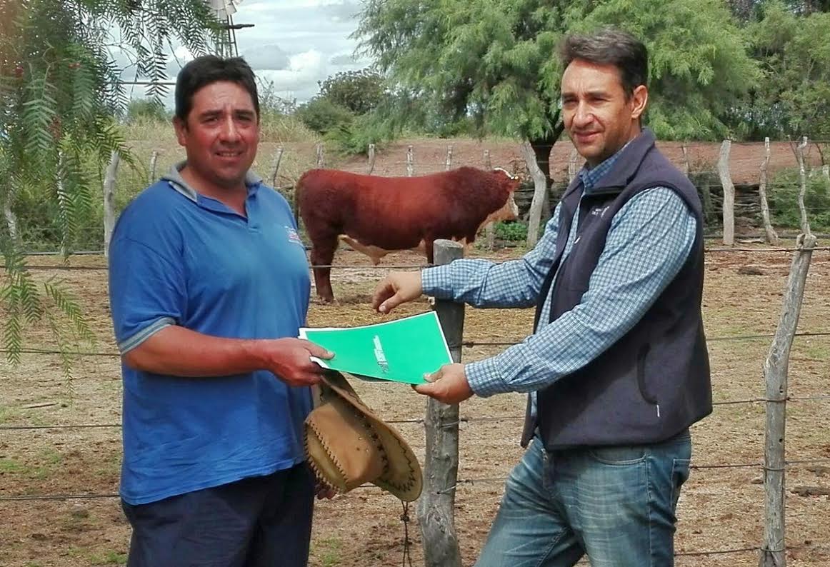 Repusieron un toro a un pequeño productor de San Isidro