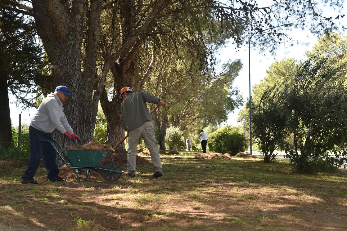 Continúan los trabajos de mantenimiento en parques de San Luis