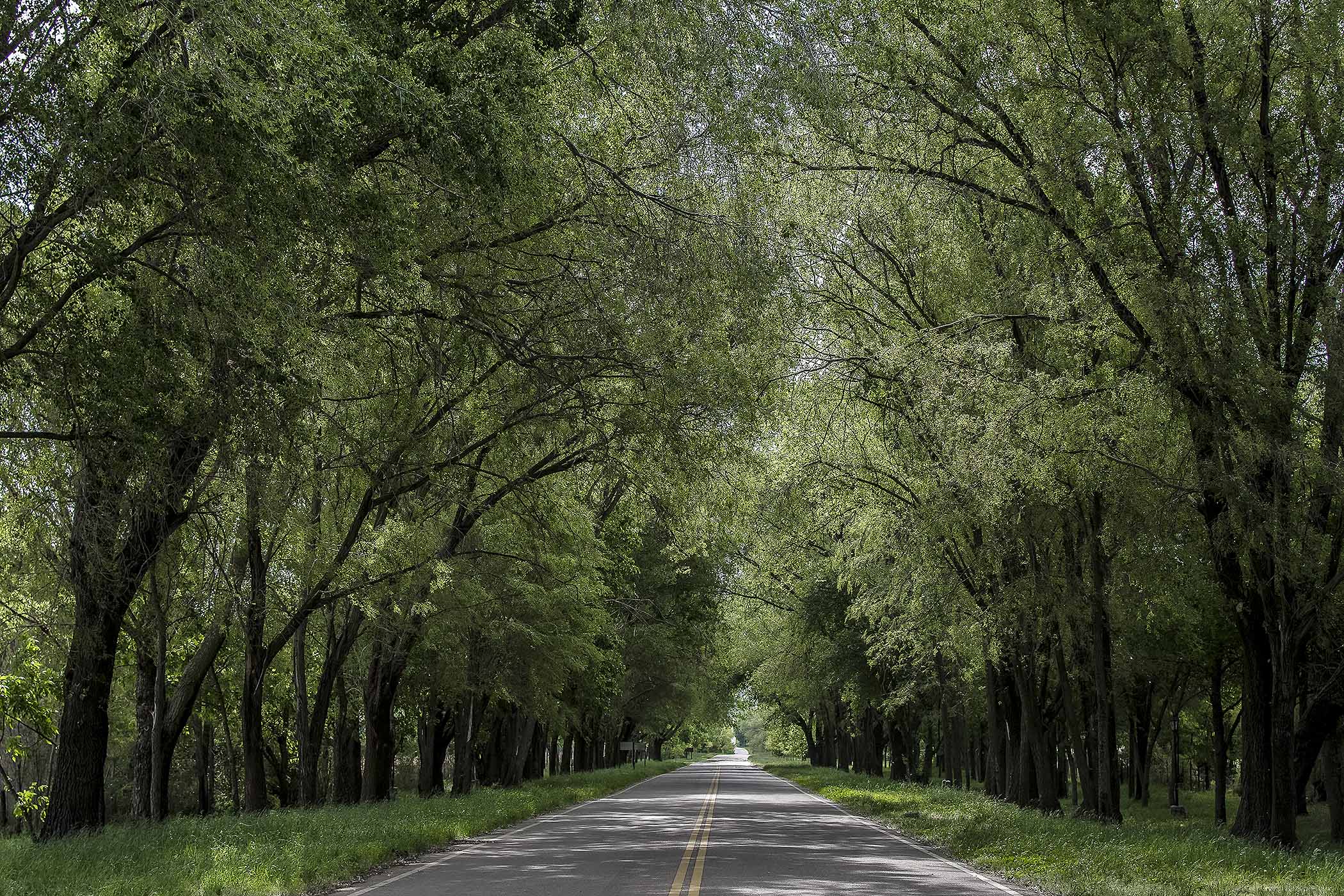 La temperatura descenderá en los próximos días