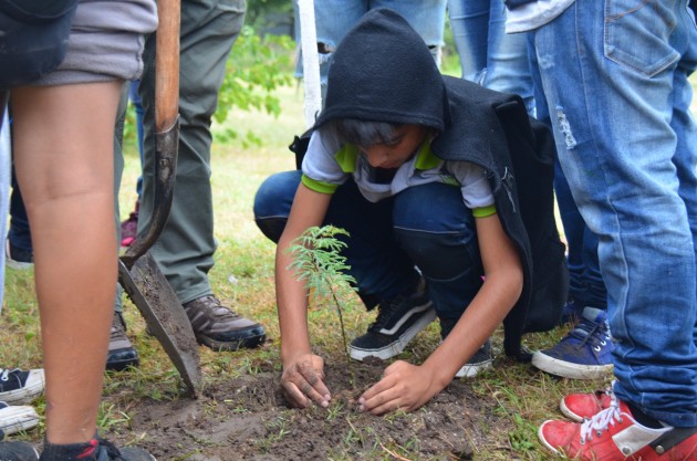  El espacio reúne a las ocho especies de nativas producidas por el Ejecutivo puntano.