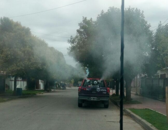 Confirman un caso de dengue en Villa Mercedes