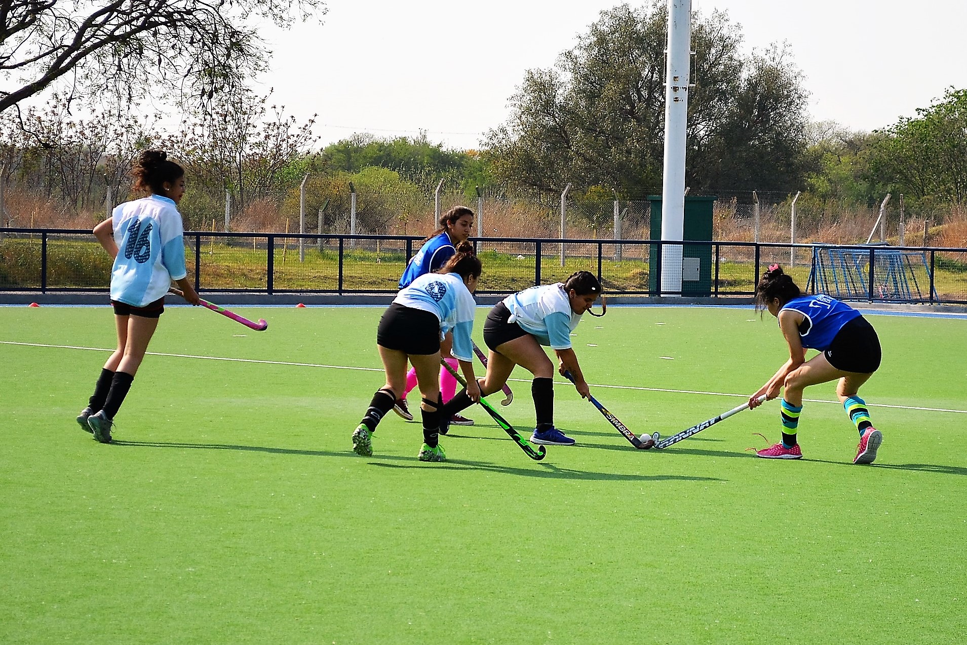 “El Ave Fénix” se llena de hockey