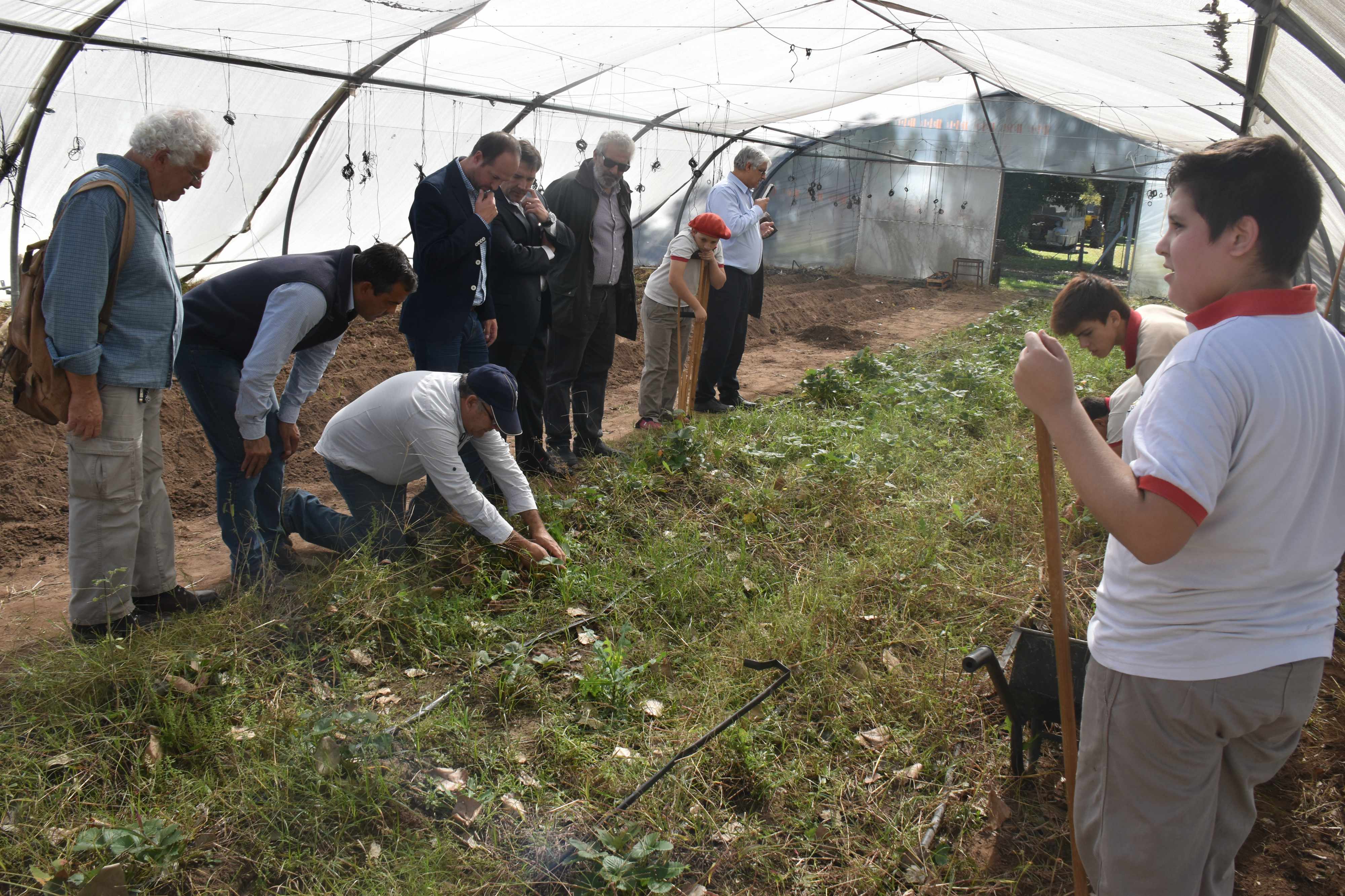 Escuelas agrotécnicas, un importante eslabón en la cadena productiva de San Luis