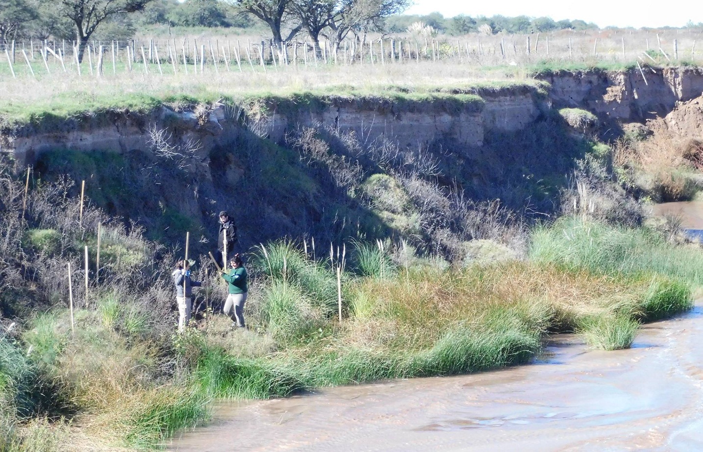 Especies nativas para recuperar el suelo de la Cuenca del Morro