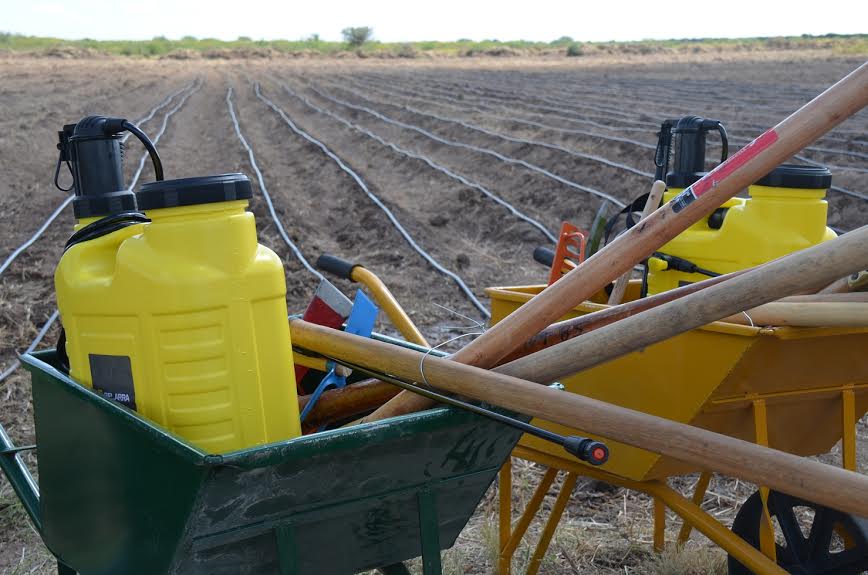 “Parcelas hortícolas”: creciente demanda de familias de San Luis para producir verduras