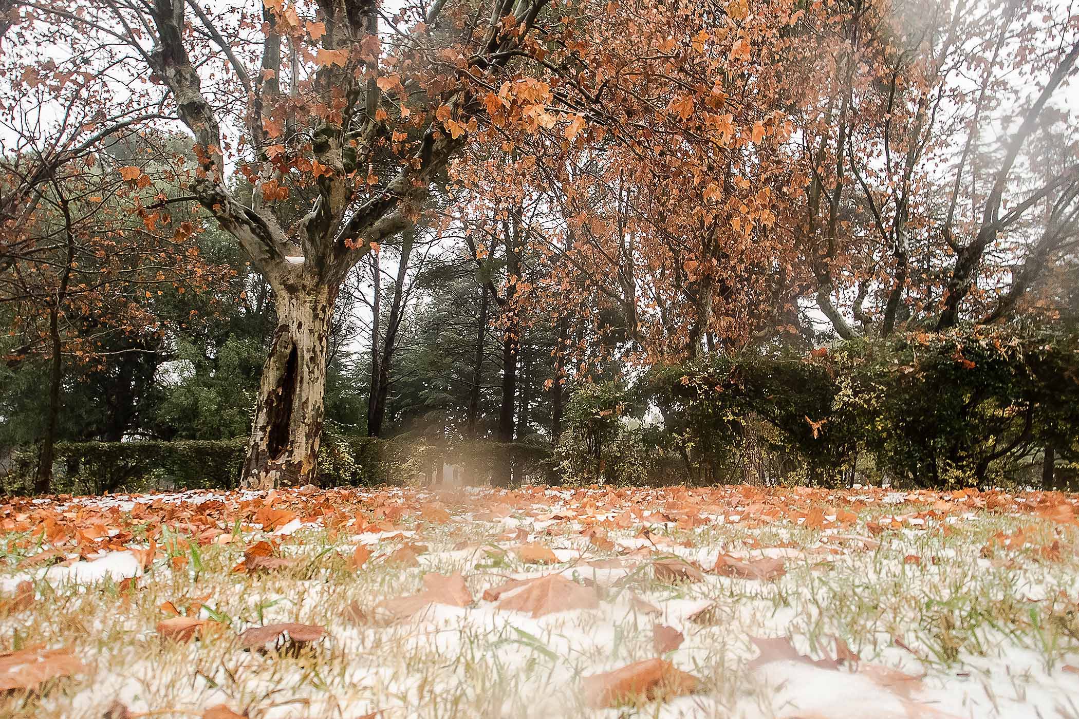 Este martes volvería la nieve a San Luis