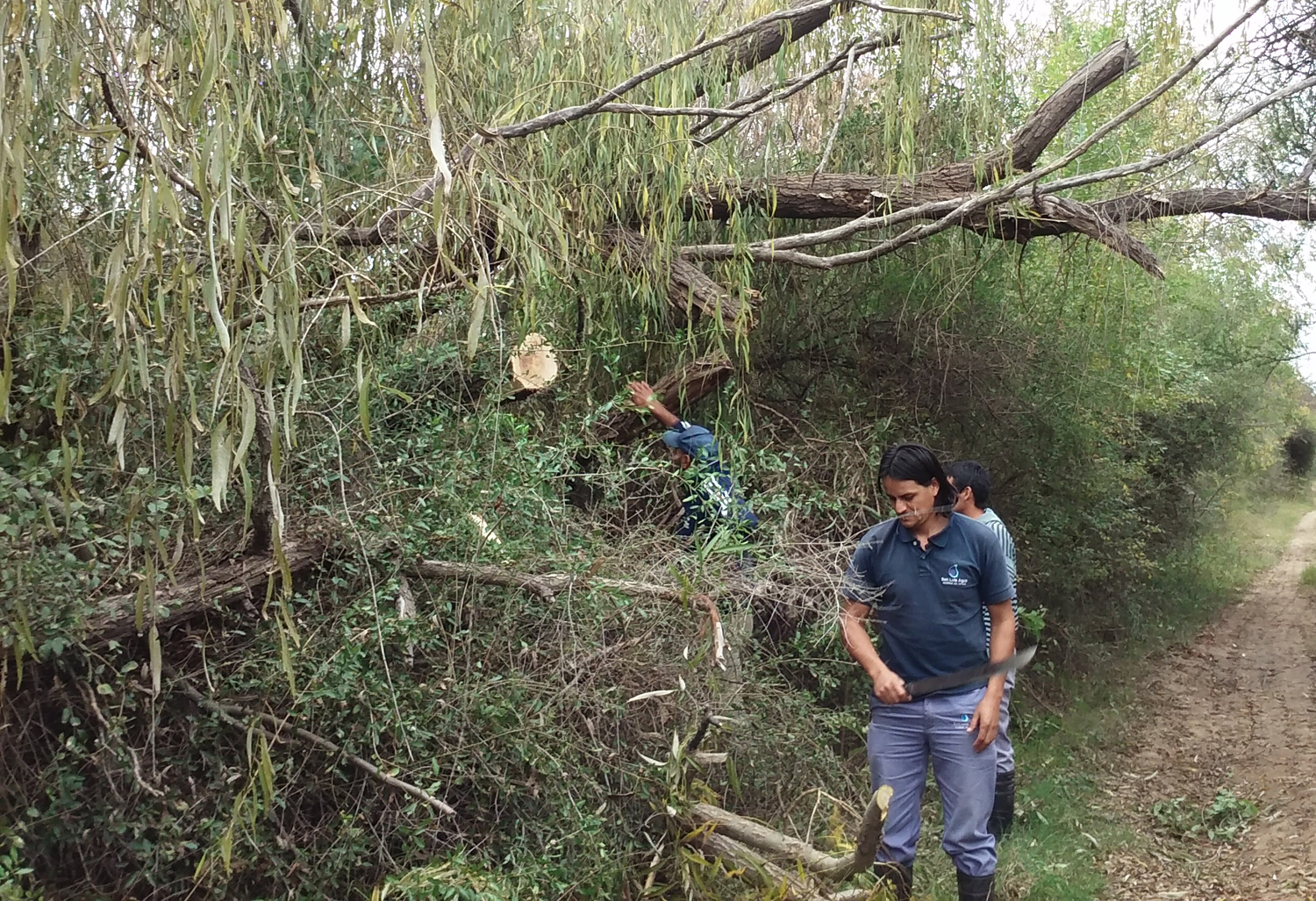 Mejoras sobre la red de canales en la zona Cortaderas