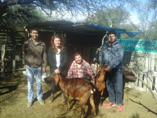 Genética de punta para la Escuela Agraria de San Luis