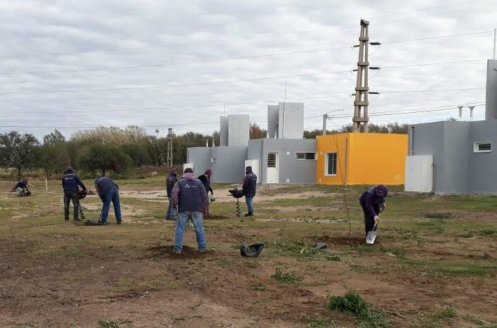 Forestaron el barrio 118 Viviendas de La Toma