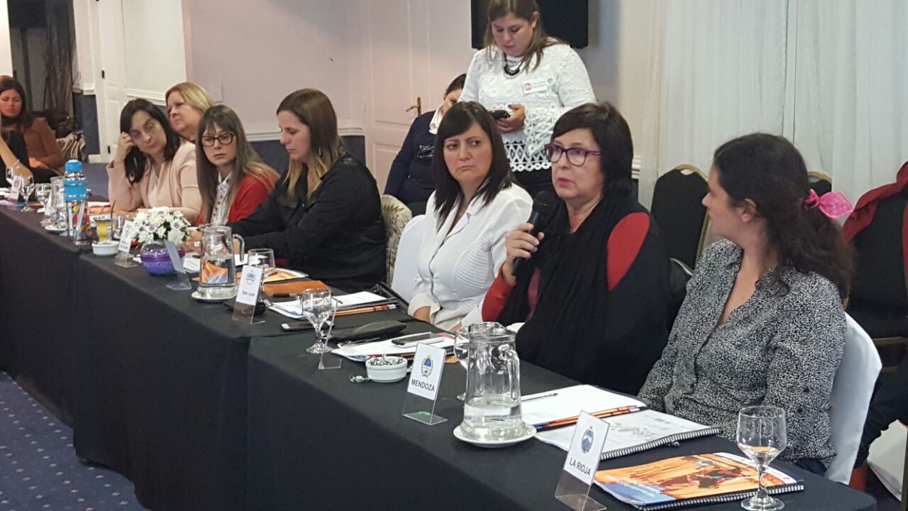 San Luis presente en la VII Reunión Nacional del Consejo Federal de las Mujeres