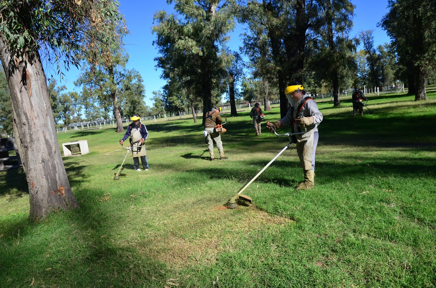 Continúa el desmalezado en el Parque Costanera Río V