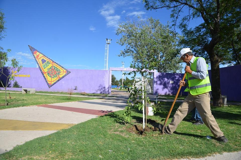 El Parque de La Cerámica recibe a las promos