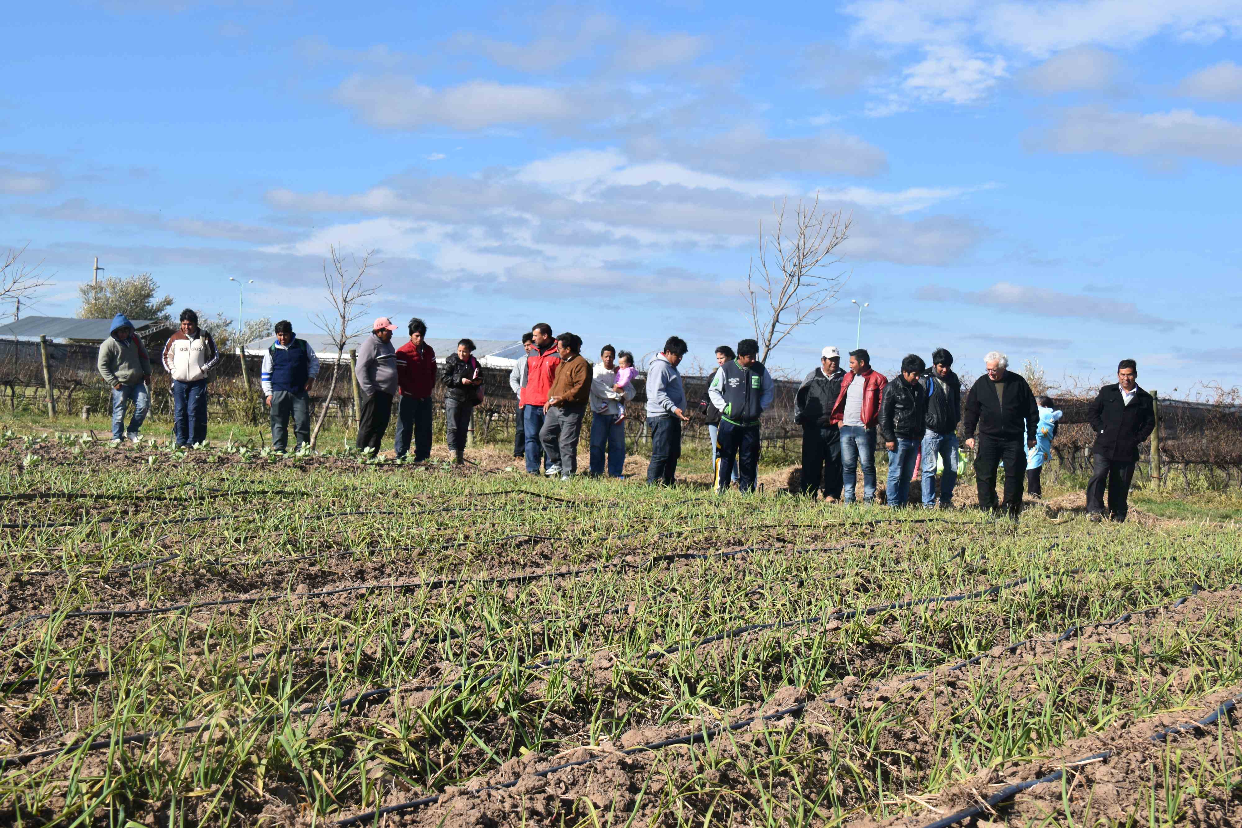 La comunidad boliviana de Merlo conoció el trabajo en las parcelas hortícolas de San Luis