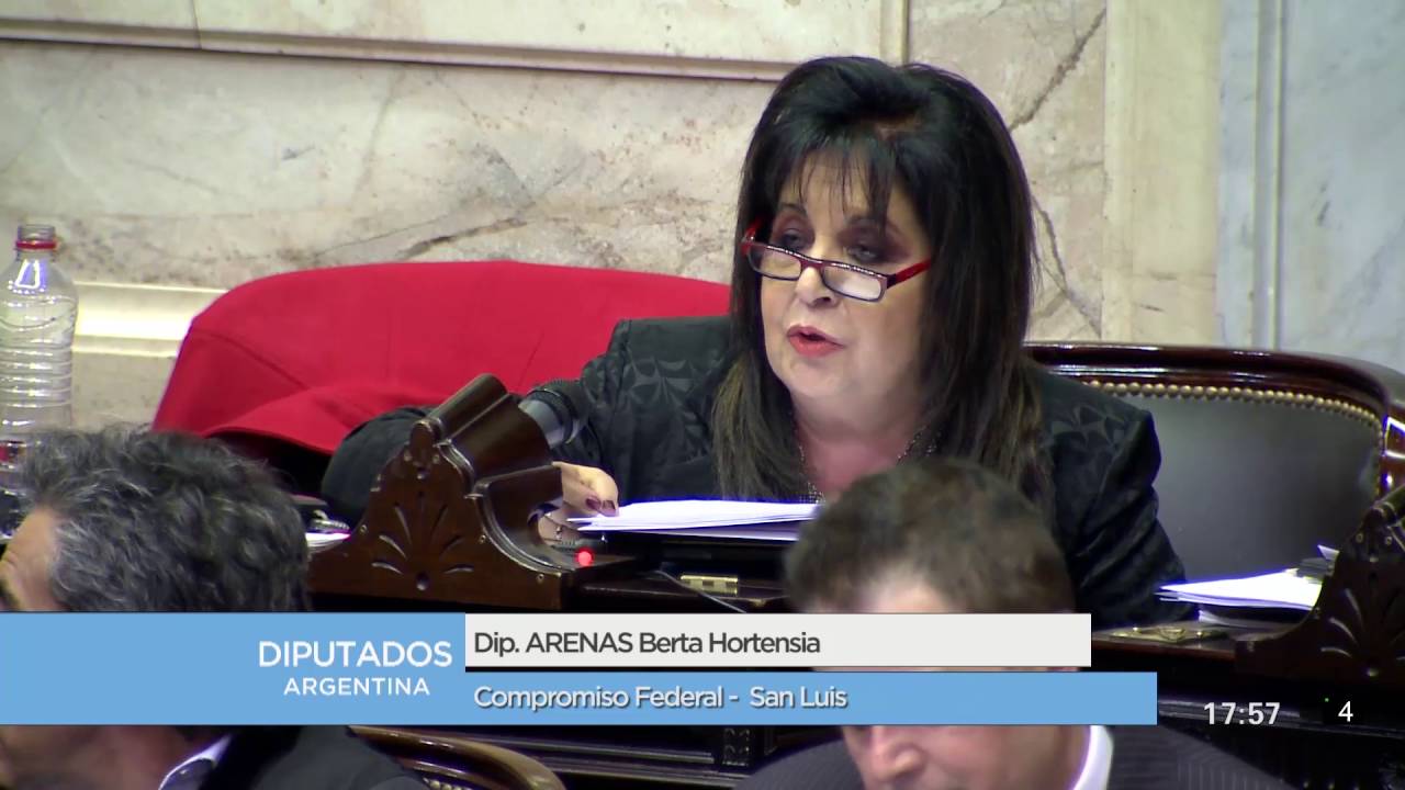La diputada nacional Arenas pidió interpelar a la ministra de Desarrollo Social de la Nación