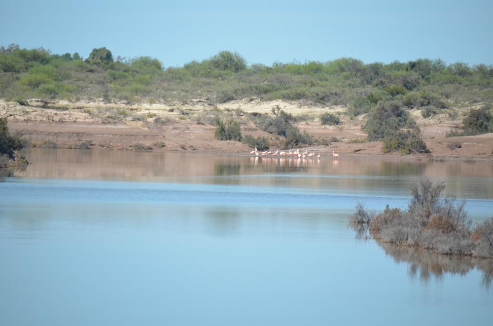 San Luis celebra 10 años de la designación del Sitio RAMSAR “Lagunas de Guanacache, Desaguadero y del Bebedero”