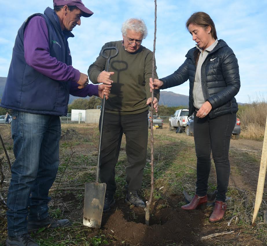 Los Molles dio el primer paso en la recuperación de su memoria productiva