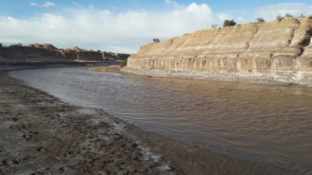 La cartera medioambiental lleva adelante diferentes muestreos en la zona.