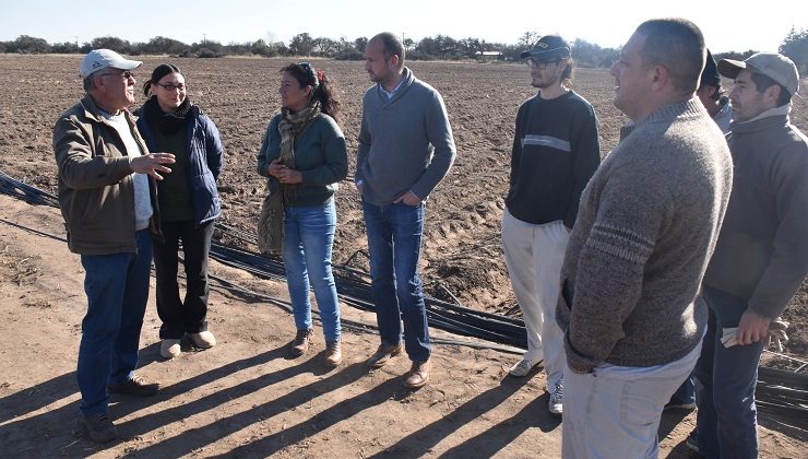 Un recorrido por las parcelas hortícolas de Villa Mercedes