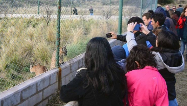 San Luis será sede del 2º Taller Nacional de Centros de Rescate y Rehabilitación de Fauna Silvestre