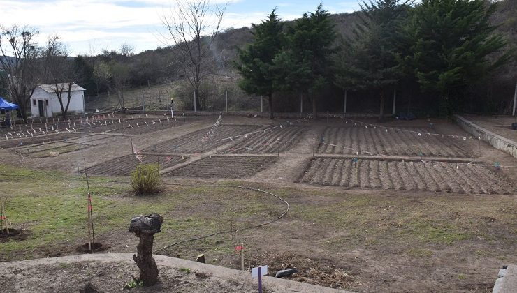 El Gobierno inauguró la segunda huerta agroecológica provincial