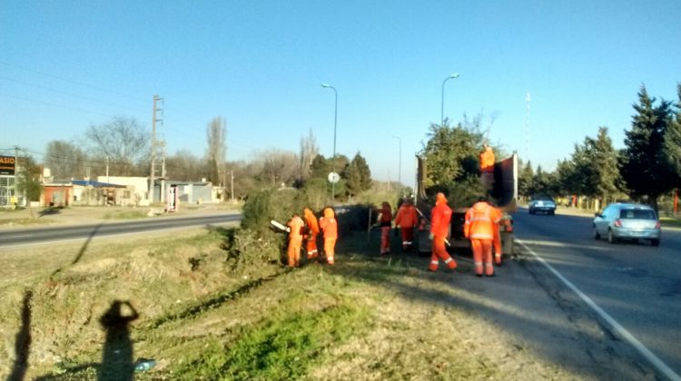 Realizan trabajos de desmalezado, poda correctiva y limpieza en las rutas provinciales