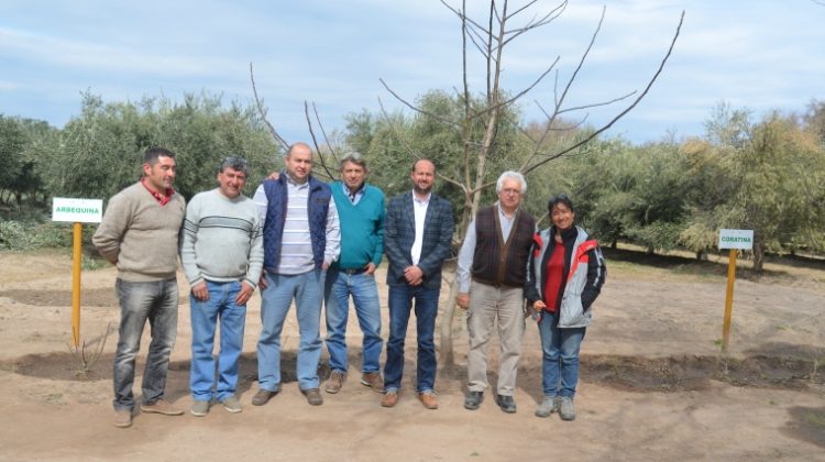 El Gobierno acompaña el desarrollo productivo de Los Cajones