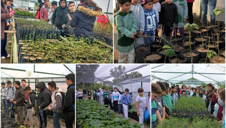 Escuelas de toda la provincia conocen cómo San Luis produce sus plantas