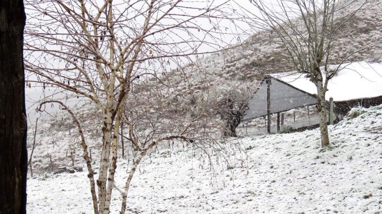 Sorpresiva nevada a fines de agosto en la zona serrana