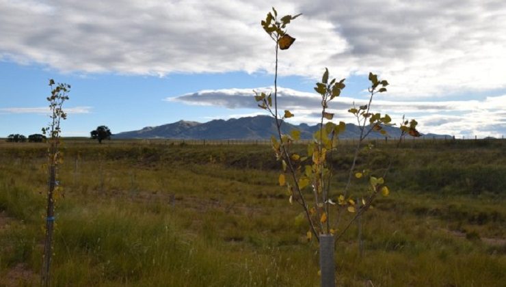 Un año vistiendo de verde y llenando de vida a la Cuenca del Morro