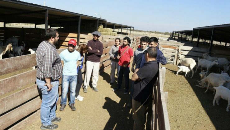 “Sol Puntano”: alumnos de la ULP visitaron los módulos de mejoramiento genético