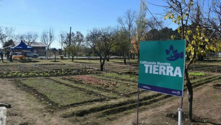 El Gobierno pone en marcha la segunda huerta agroecológica provincial