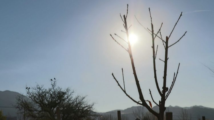 Domingo soleado con una máxima de 25ºC