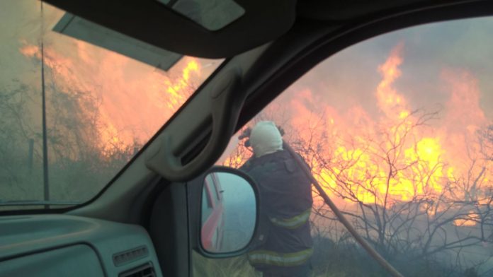 Controlaron un incendio forestal en Estancia Grande