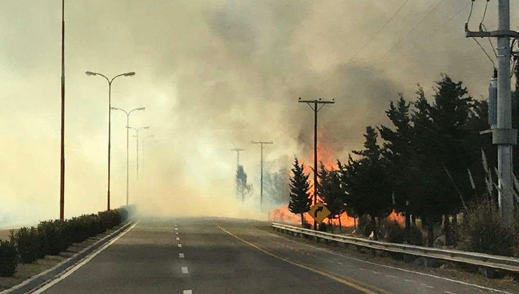 Combaten un incendio en la Autopista Los Puquios