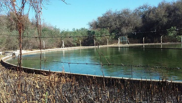 Mejoran el predio de la cisterna que abastece al acueducto Socoscora