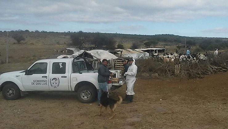 Asistencia sanitaria para pequeños productores del departamento San Martín