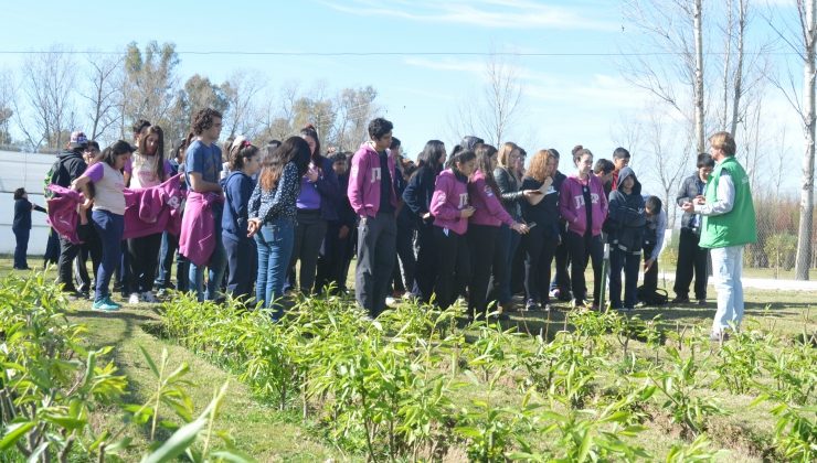 Alumnos de nivel secundario conocieron el Centro de Logística Forestal