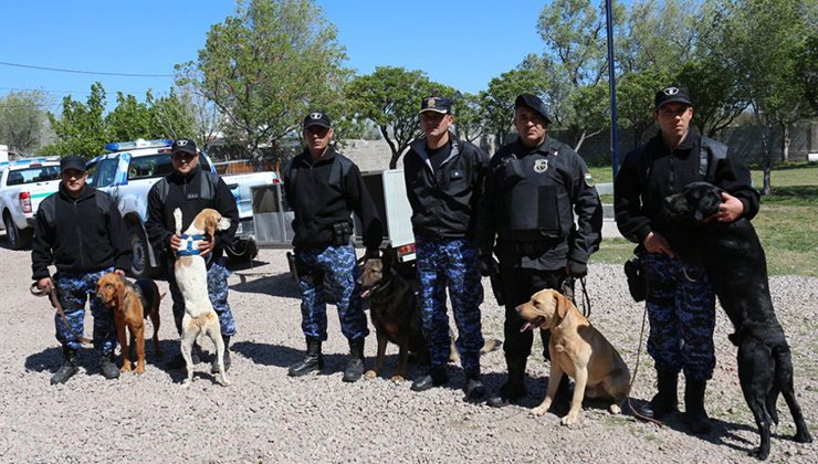 La División Canes de la Policía de San Luis colaborará con la búsqueda de Santiago Maldonado