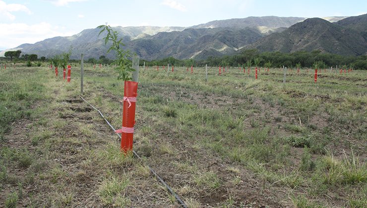 Por mejoras, se interrumpirá la provisión de agua en Nogolí y Belgrano