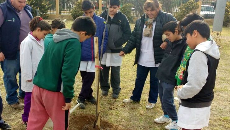 Forestación y educación ambiental en las escuelas de San Luis