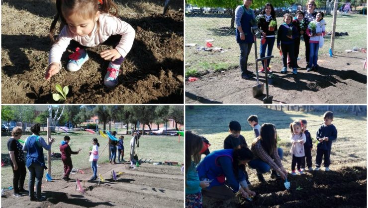 Cada vez son más las escuelas que cuentan con su huerta propia