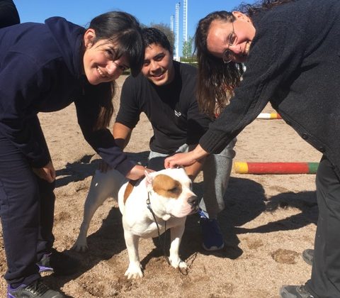 Una jornada para promover el respeto y el amor por los animales