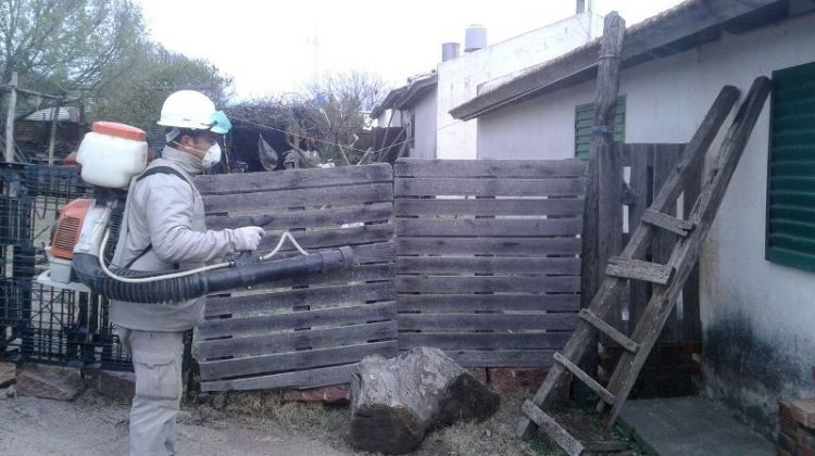 Control de vectores e inmunización en Potrerillo