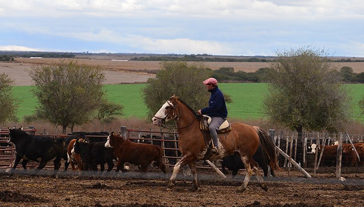 El Ministerio de Medio Ambiente, Campo y Producción busca generar más fuentes de trabajo