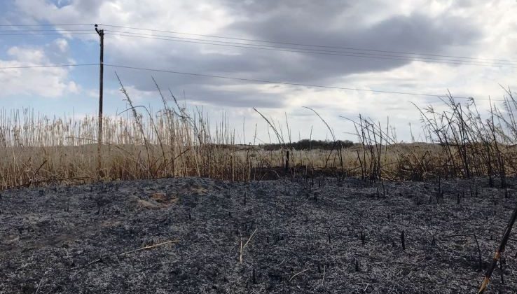 Un incendio en el sur provincial afectó parte del troncal de fibra óptica