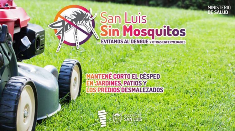 Sigue la campaña de prevención contra el dengue